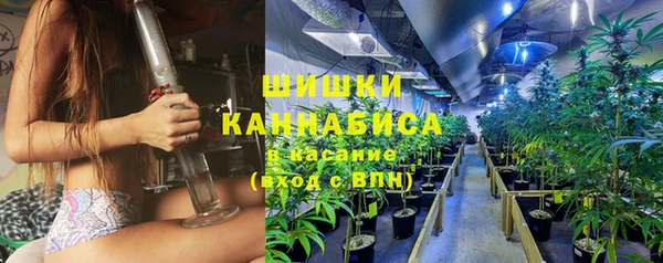 ALPHA PVP Белокуриха