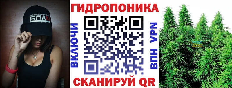 Купить где  Мышкин  Шишки марихуана Ganja 